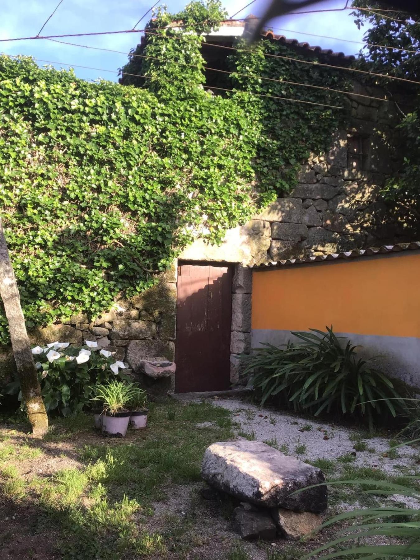 Apartament Casa De Cerqueda Celorico De Basto Zewnętrze zdjęcie