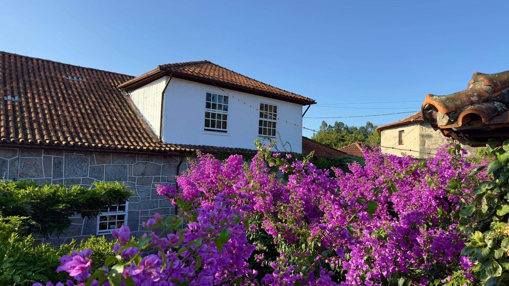 Apartament Casa De Cerqueda Celorico De Basto Zewnętrze zdjęcie