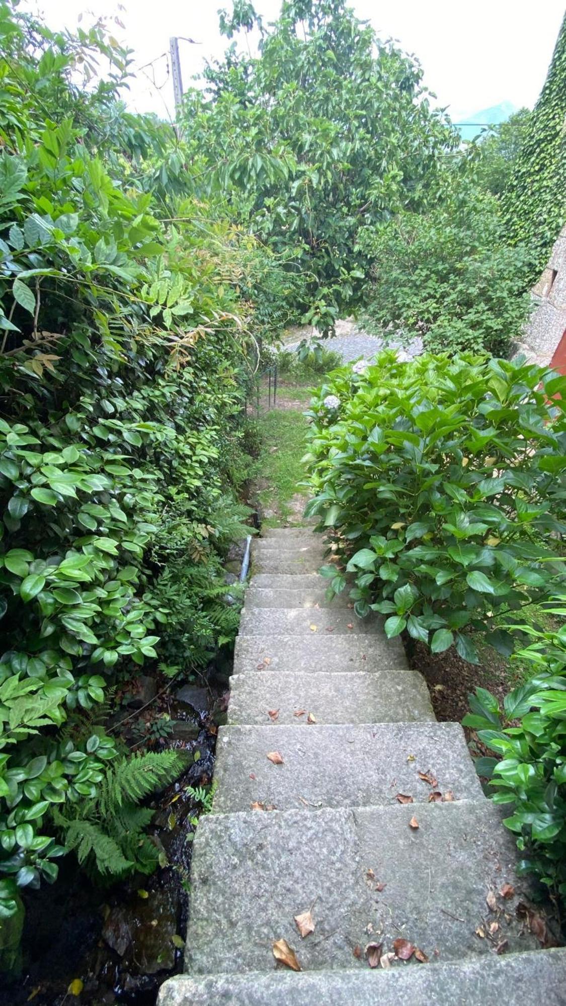 Apartament Casa De Cerqueda Celorico De Basto Zewnętrze zdjęcie